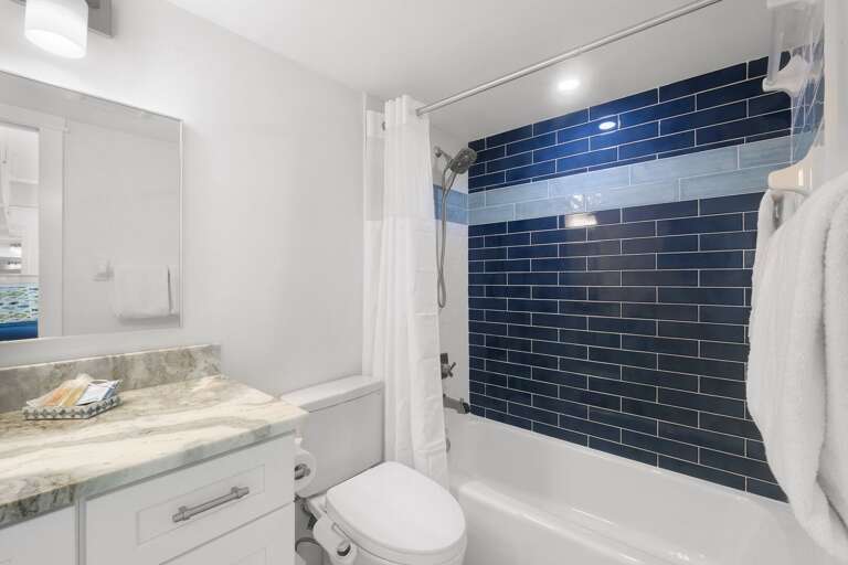 Shower in Guest bath