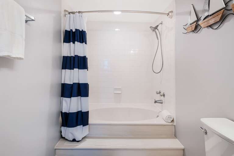 Master Bathroom tub/shower combo