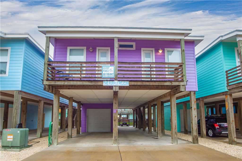 Purple Pelican