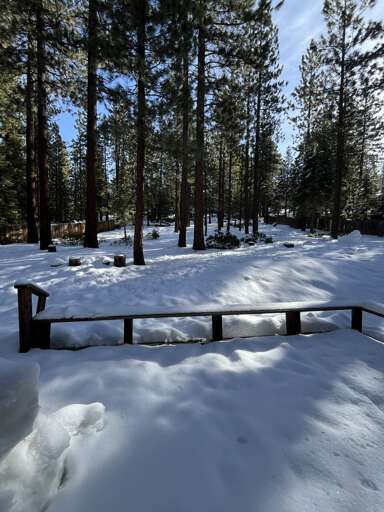 Spacious Backyard--great for the kids to play in Spacious Backyard--great for the kids to play in