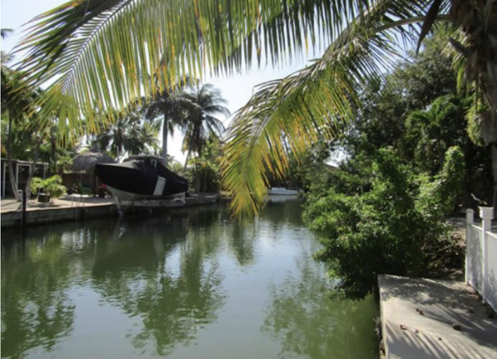 Tropical Canal With Boat And Palm Trees Tropical Canal With Boat And Palm Trees