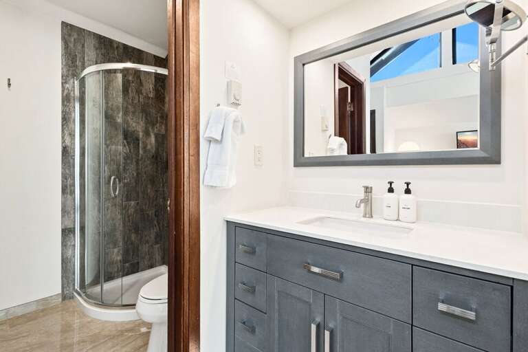 Ensuite with walk-in shower and single sink vanity.