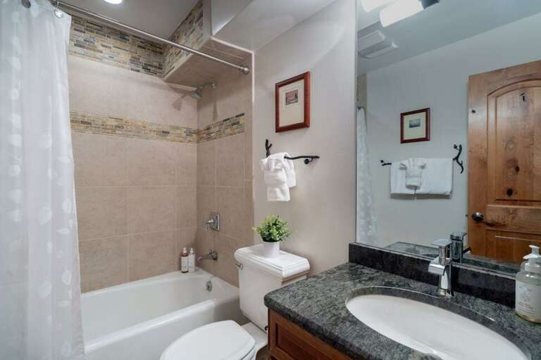 The bathroom on the main living level has a combined shower and tub. The bathroom on the main living level has a combined shower and tub.