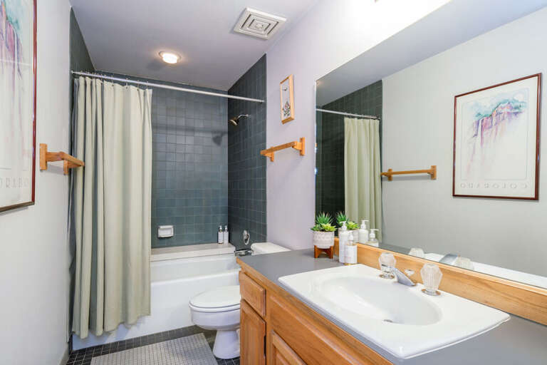 The main Level features a guest bathroom with single sink vanity and tub/shower combo.