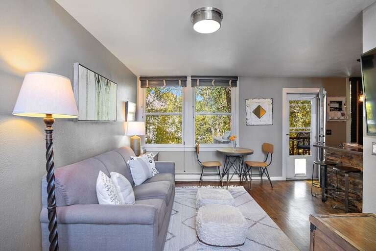 Living area with mounted TV and sleeper sofa