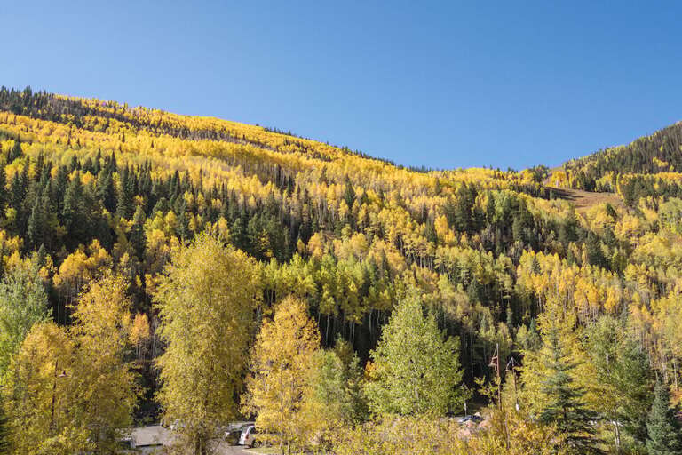 The fall colors exploding on the mountains around Telluride.