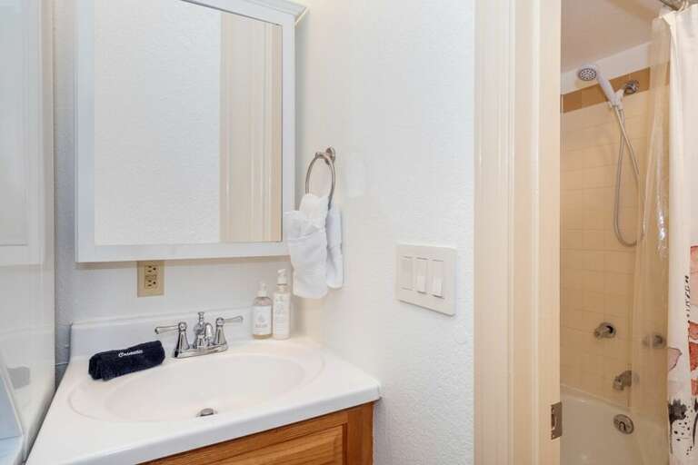 Viking Lodge 310 features a  full bathroom with a tub/shower combo.