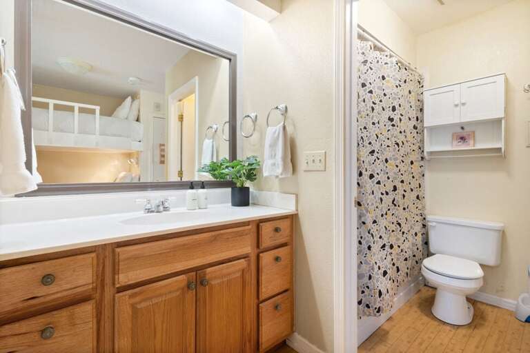 Vanity and shower area
