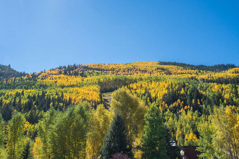 Views from Telluride Lodge are spectacular all year round. Views from Telluride Lodge are spectacular all year round.