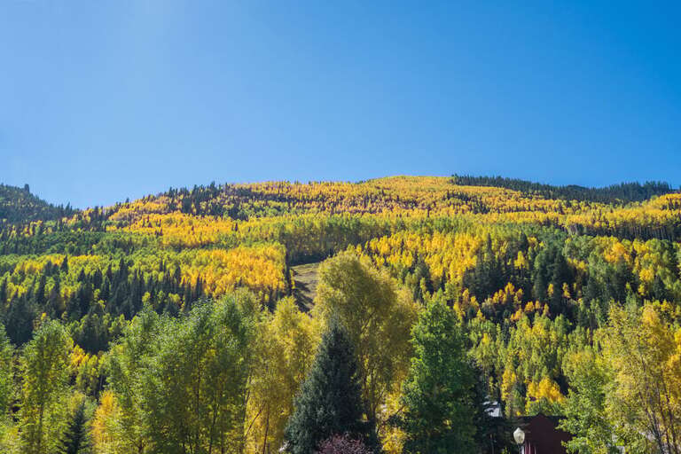 The beautiful Telluride Ski Resort is right out the door The beautiful Telluride Ski Resort is right out the door