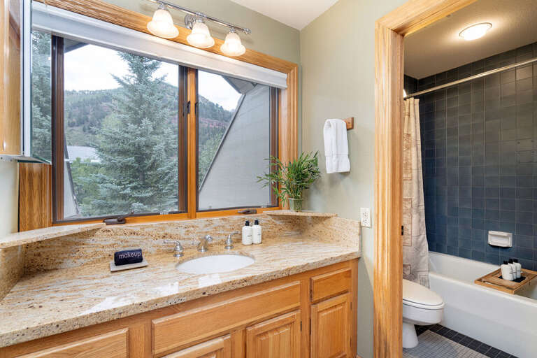 Single sink vanity with great views.  Full bathroom.