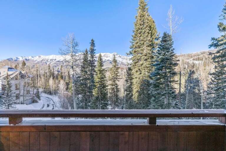 Stunning alpine vistas from the living room and all bedrooms.