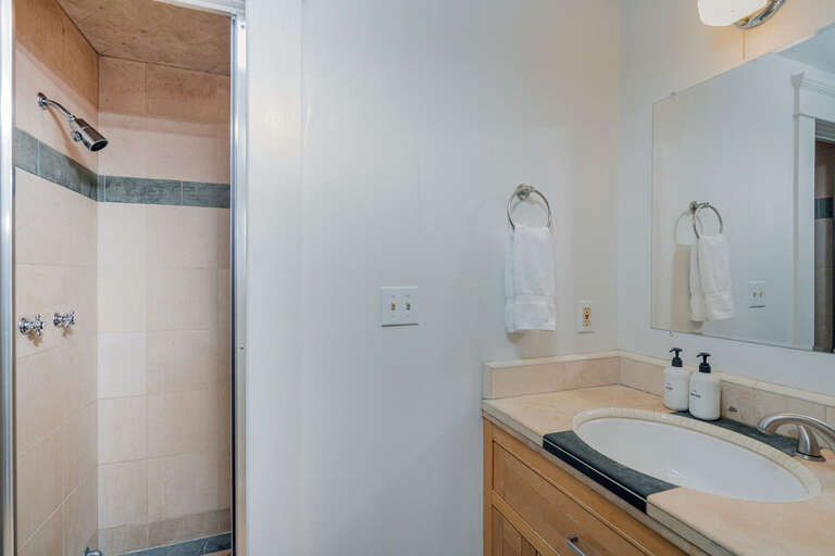 En suite Primary Bathroom features a step in shower and single sink vanity with separate water closet.