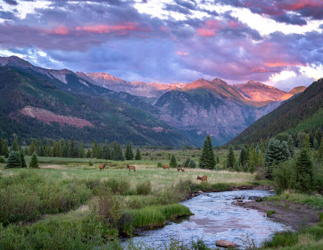 Stunning alpine glow in the Telluride Valley. Sunsets in Telluride are one for the books.