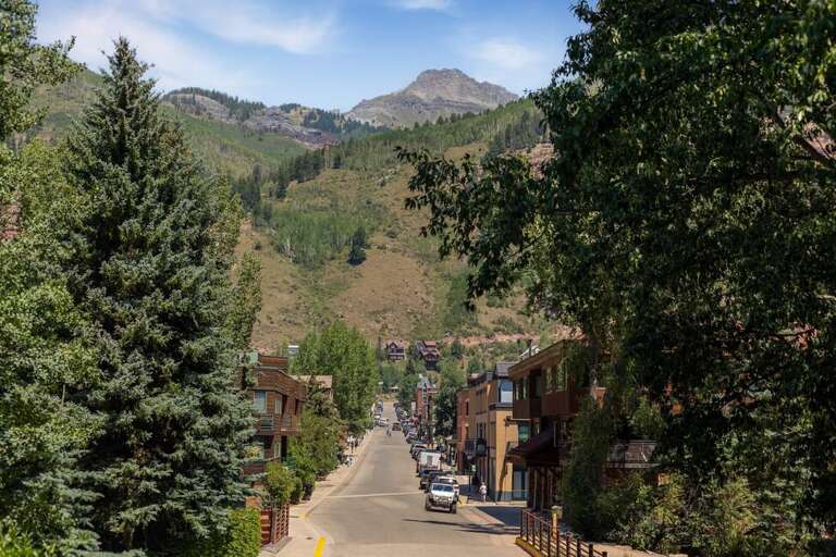 Looking north on Pine Street.