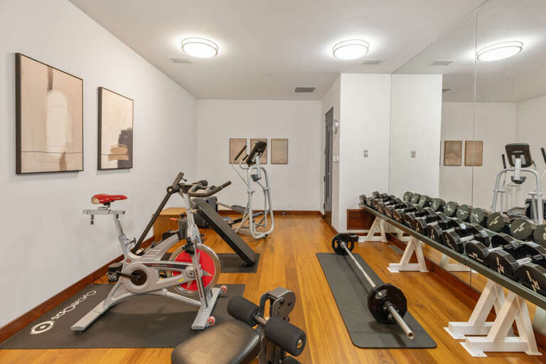 Well equipped home gym with an exercise bike, weight rack, mats, and a TV