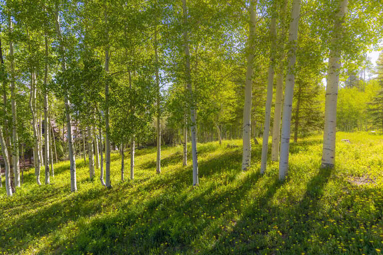 This property offers a huge open space, perfect for exploration and imagination or a beautiful sunset stroll.