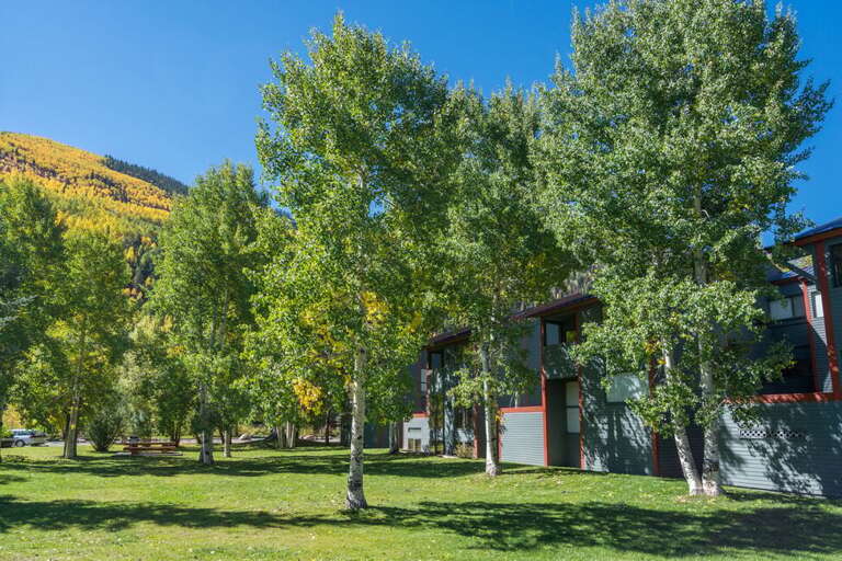 Telluride Lodge complex green space with communal grills and picnic tables.