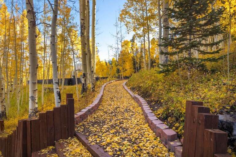 Multiple paths lead to the various decks.