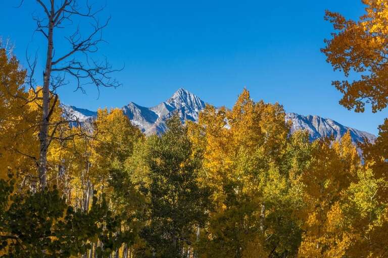 Views From Sunset Lodge include the Wilson Peak the local 14 thousand foot peak.