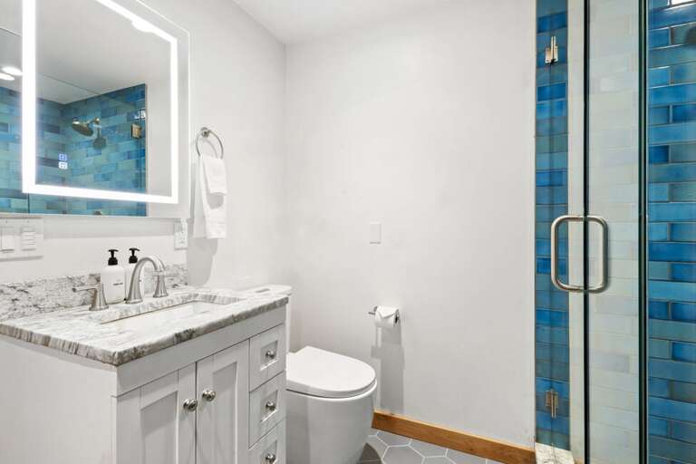 Guest bathroom
