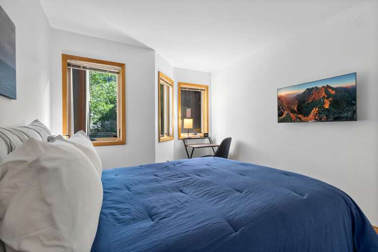 Telluride Condo Rental