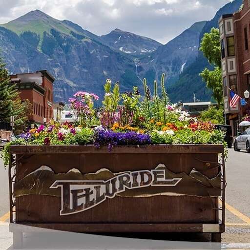 Summertime in Telluride, filled with flowers.