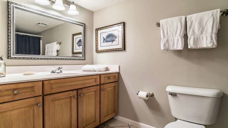 Phoenix VI 712 Guest bath