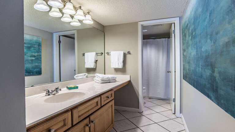 Phoenix VI 712 Master bath