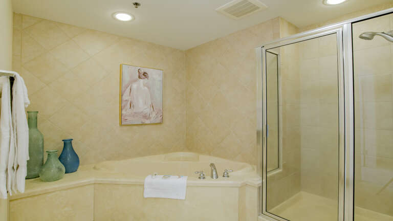 Phoenix IX 1503 Master bath