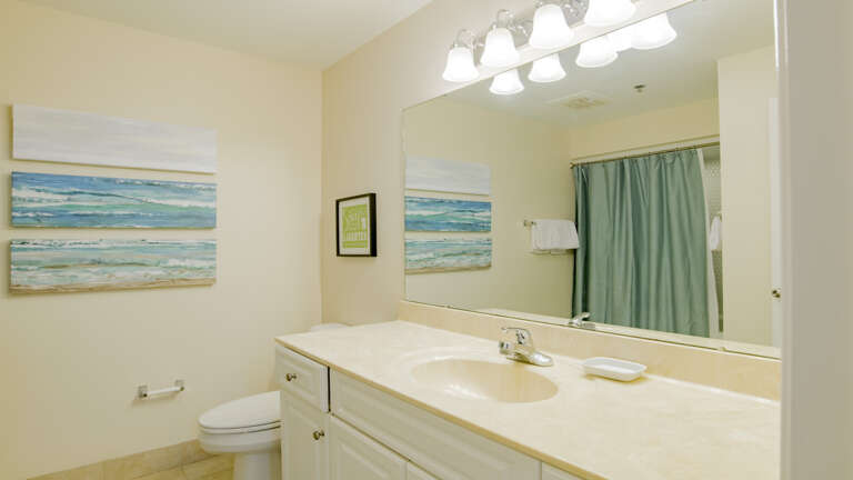 Phoenix IX 1503 Guest bath