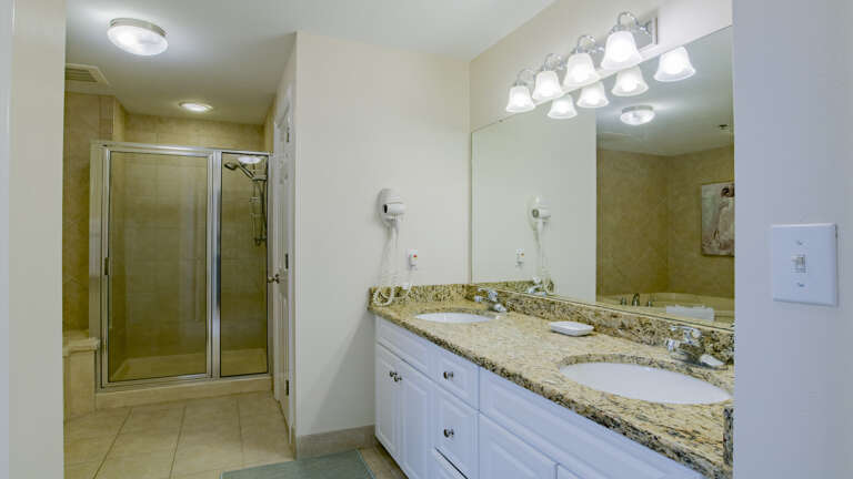 Phoenix IX 1503 Master bath