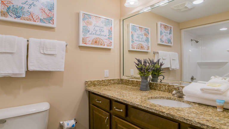 Phoenix Orange Beach Guest bath off the 3rd bedroom