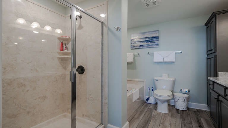 Phoenix Orange Beach 704 Master bath