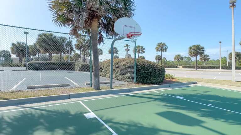 Palm-lined Basketball Court With Chain-link Fence