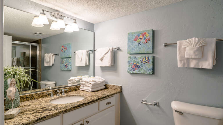 Phoenix VI 304 Guest bath