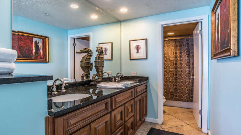 Phoenix X 1101 Master bath Phoenix X 1101 Master bath