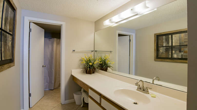 Phoenix X 311 Master bath