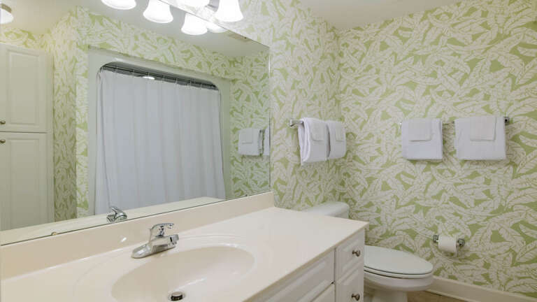 Phoenix IX 1107 Guest bath