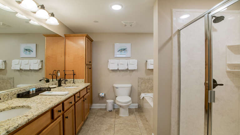Phoenix Orange Beach 1401 Master bath