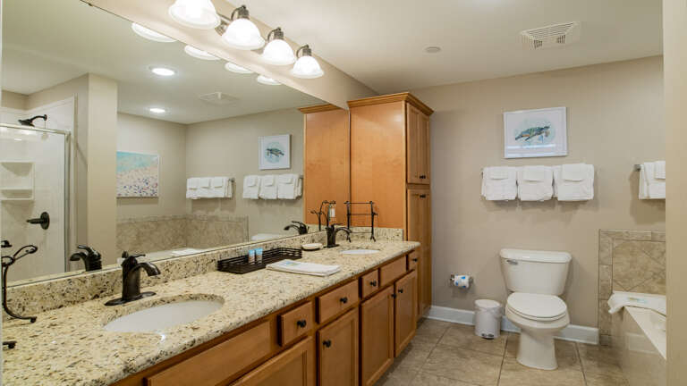 Phoenix Orange Beach 1401 Master bath