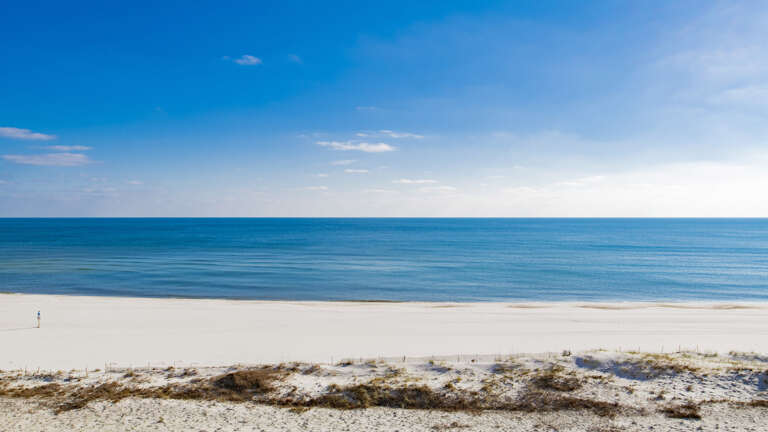 Phoenix X 605 Phoenix X 605