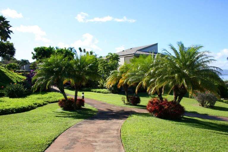 34 Wailea Ekolu, 401