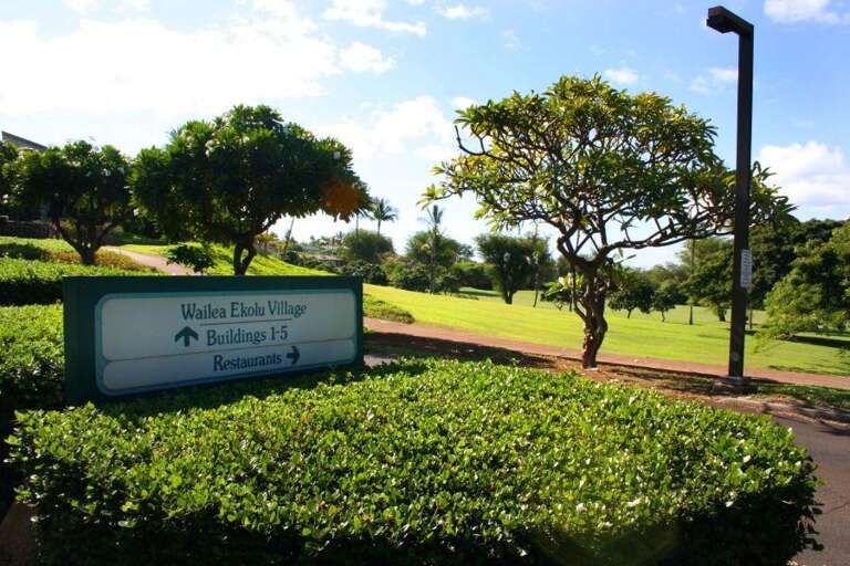 36 Wailea Ekolu, 401