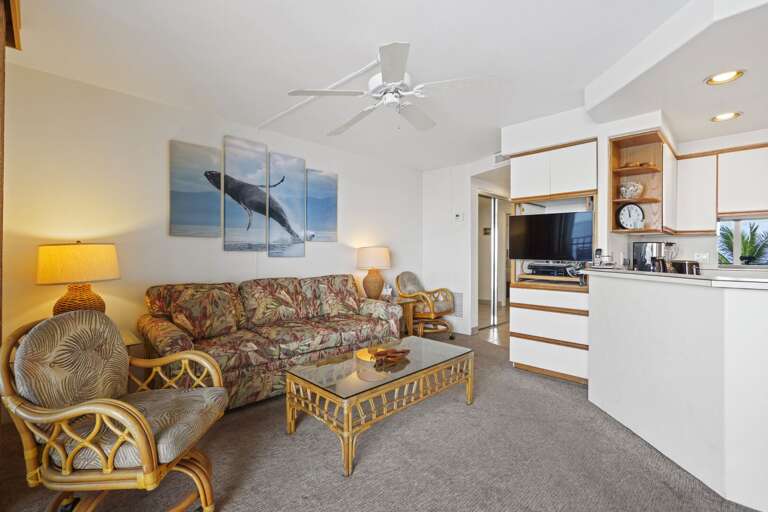 Find Rentals