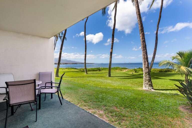 Patio View Of Peaceful Palms And Pristine Shoreline