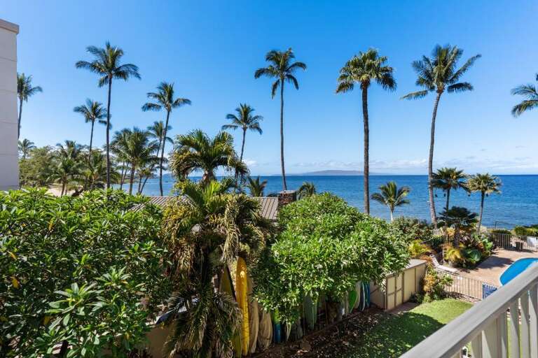 Palm-lined Path By Blue Ocean View