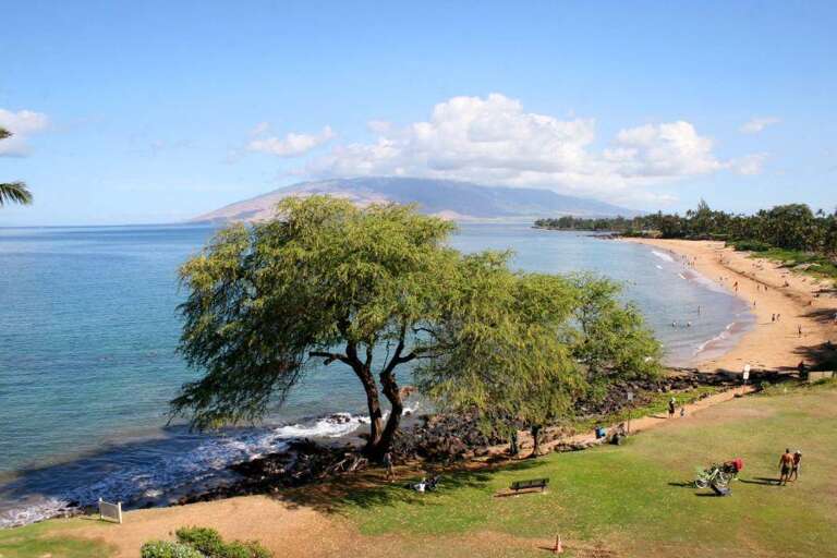 38 ROYAL MAUIAN, 202