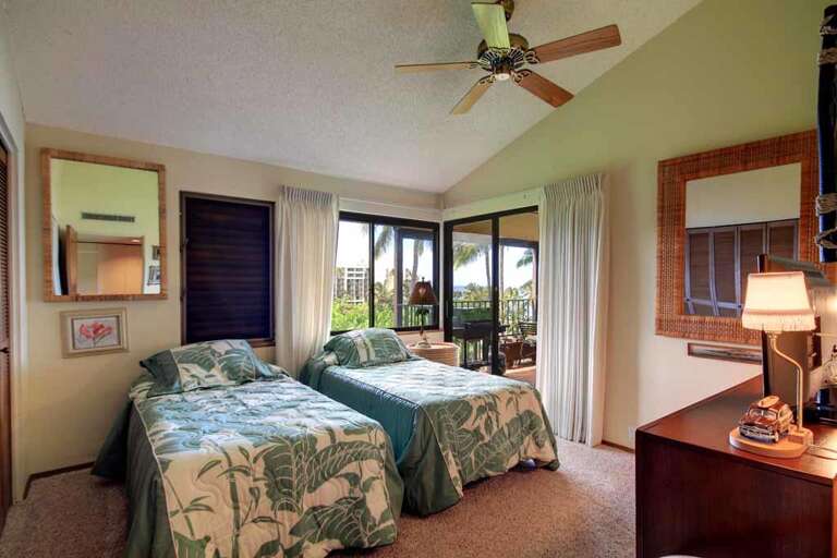 24 WAILEA ELUA, #2010