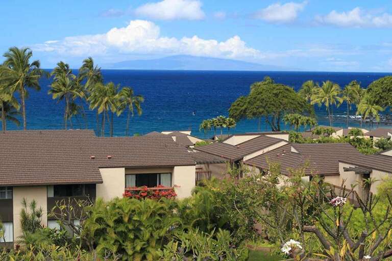 6 WAILEA ELUA, #2010